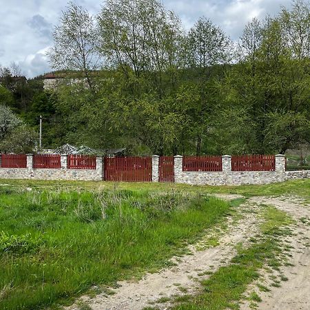 La Gradina Hotel Mehadia ภายนอก รูปภาพ