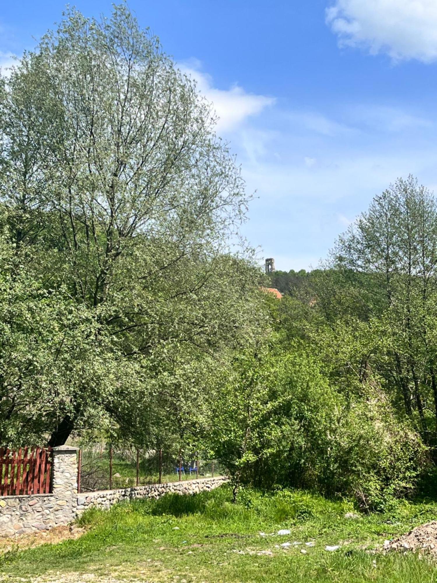 La Gradina Hotel Mehadia ภายนอก รูปภาพ